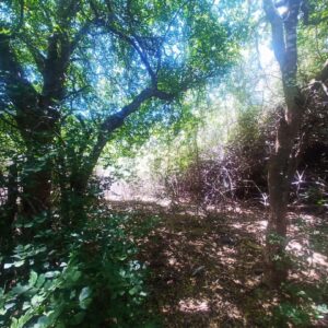 Terreno, En Venta, En Guacuco, Nueva Esparta, Isla de Margarita, 720 mt2