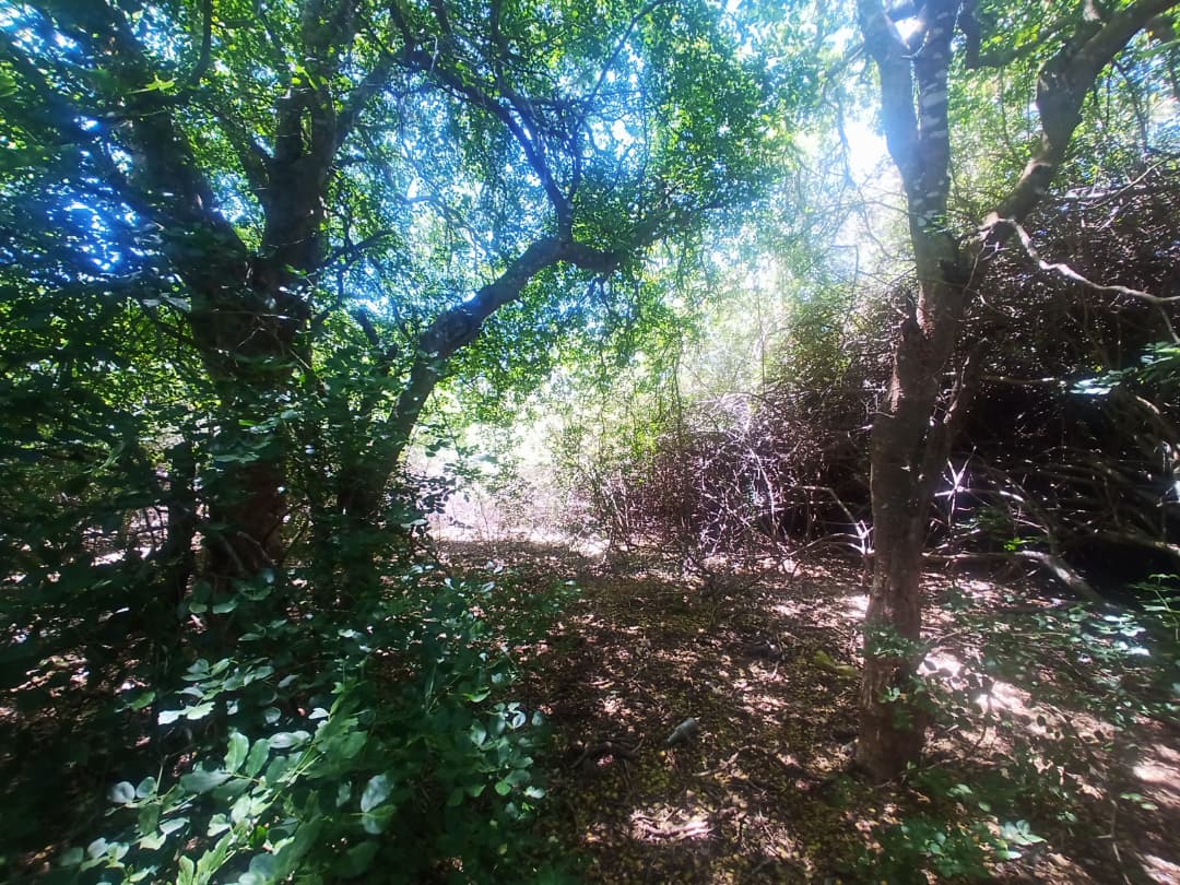 Terreno, En Venta, En Guacuco, Nueva Esparta, Isla de Margarita, 720 mt2