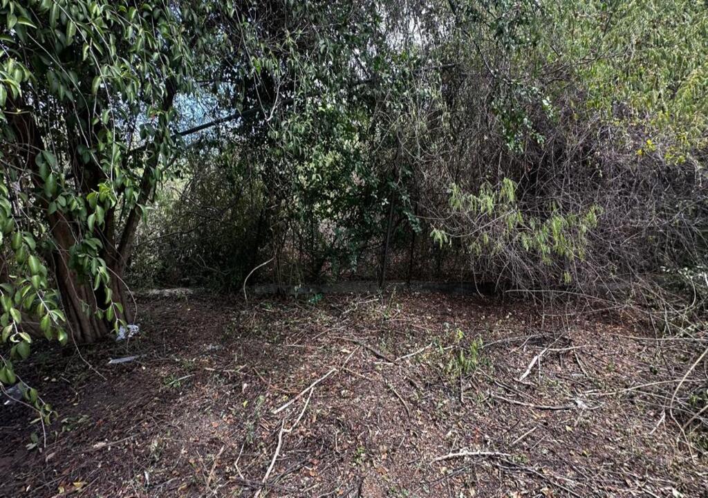 Terreno, En Venta, En El Salado, Nueva Esparta, Isla de Margarita, 541,06 Mt2 - Imagen 13