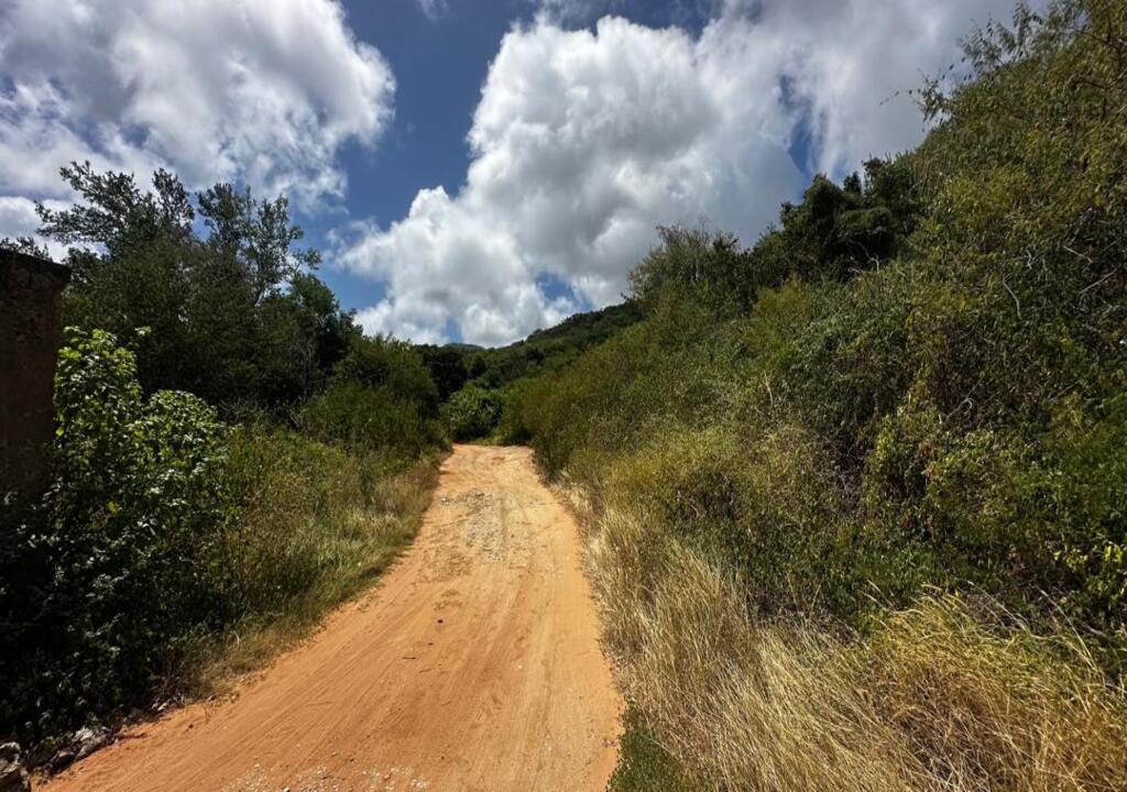 Terreno, En Venta, En El Salado, Nueva Esparta, Isla de Margarita, 541,06 Mt2 - Imagen 14