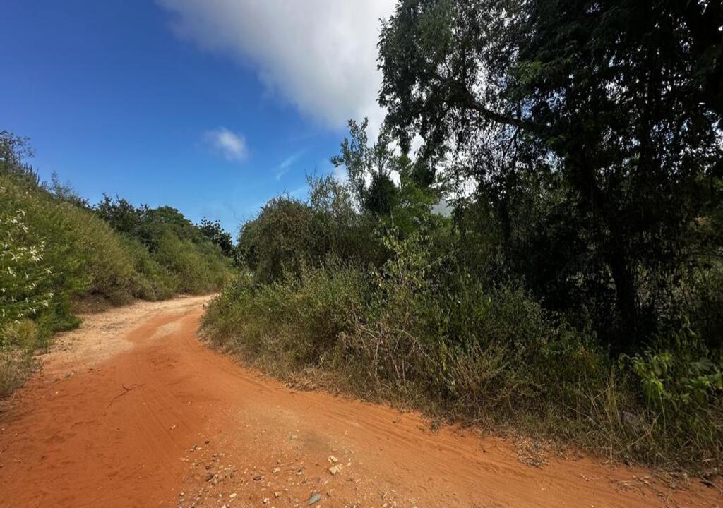 Terreno, En Venta, En El Salado, Nueva Esparta, Isla de Margarita, 541,06 Mt2 - Imagen 15