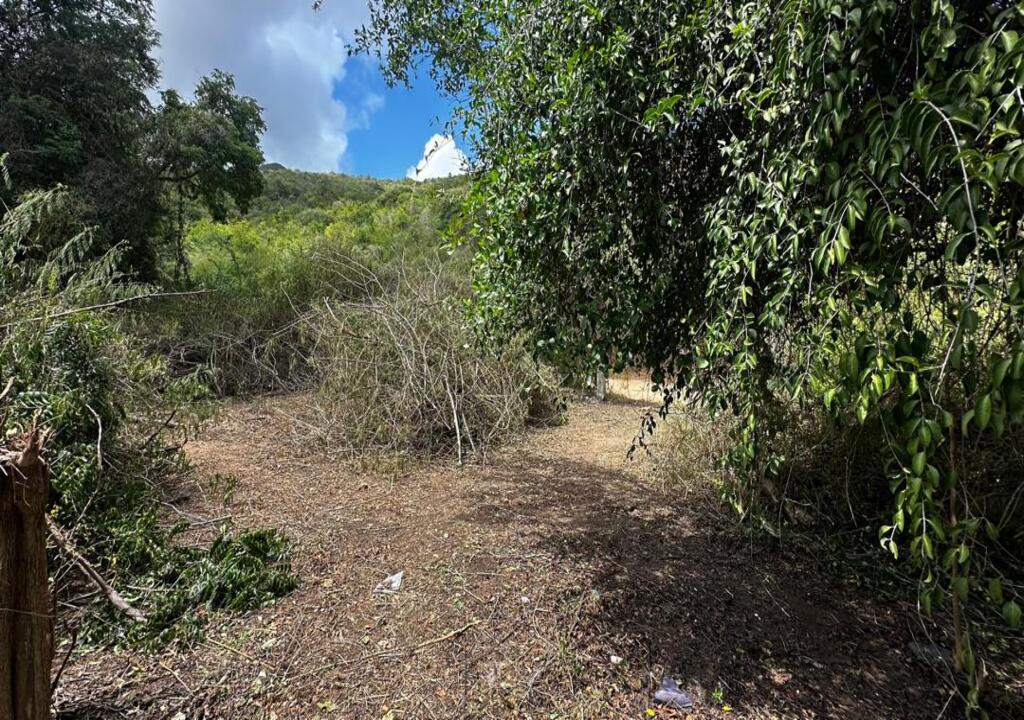 Terreno, En Venta, En El Salado, Nueva Esparta, Isla de Margarita, 541,06 Mt2 - Imagen 24