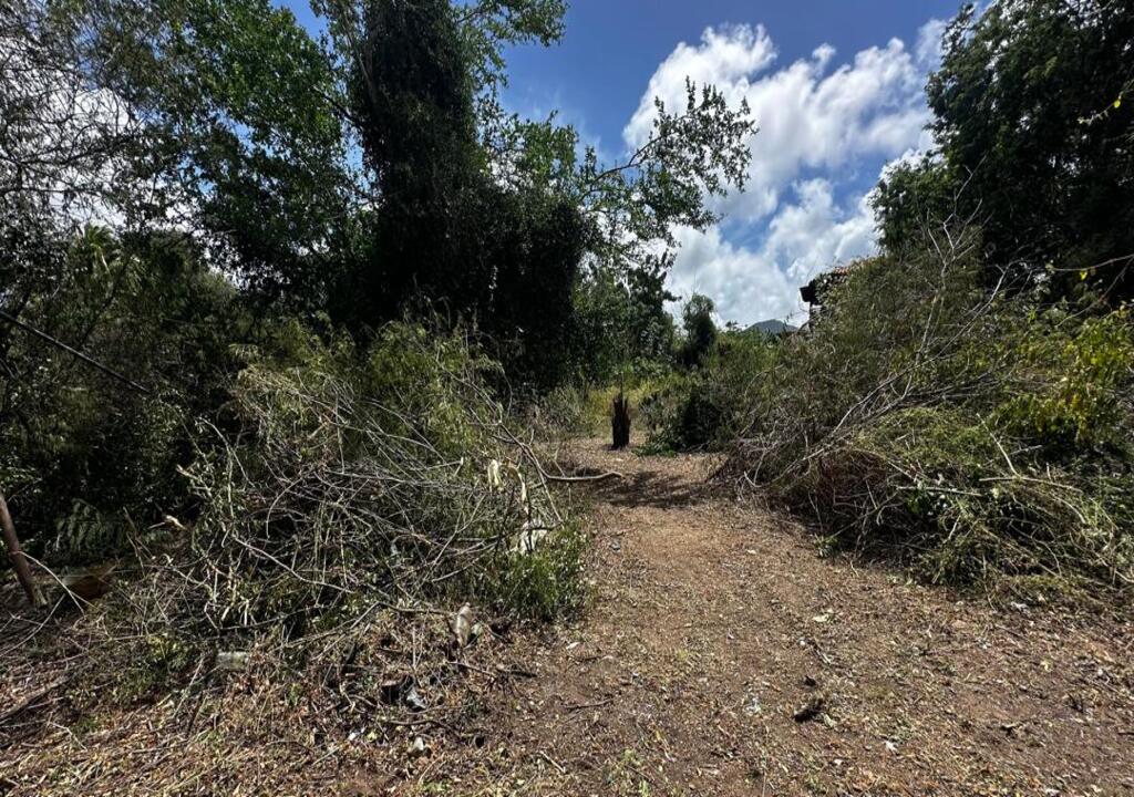 Terreno, En Venta, En El Salado, Nueva Esparta, Isla de Margarita, 541,06 Mt2 - Imagen 26