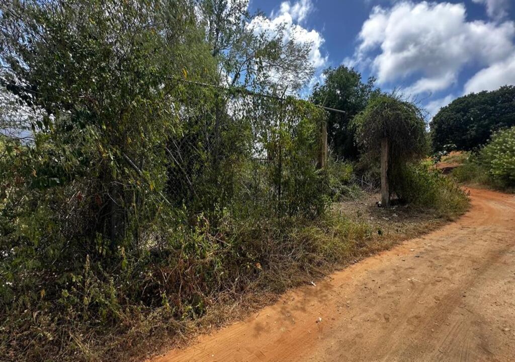 Terreno, En Venta, En El Salado, Nueva Esparta, Isla de Margarita, 541,06 Mt2 - Imagen 28