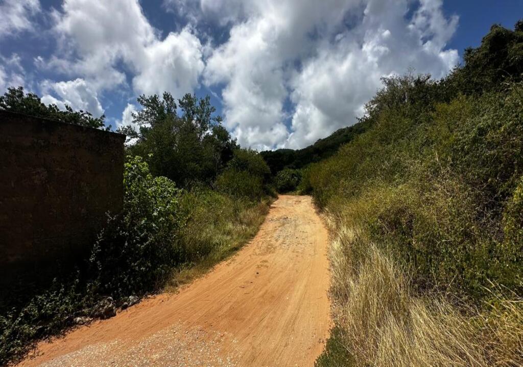 Terreno, En Venta, En El Salado, Nueva Esparta, Isla de Margarita, 541,06 Mt2 - Imagen 29