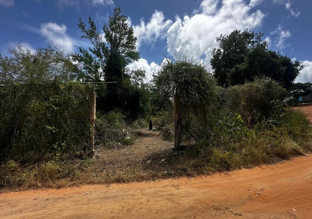 Terreno, En Venta, En El Salado, Nueva Esparta, Isla de Margarita, 541,06 Mt2 - Imagen 30