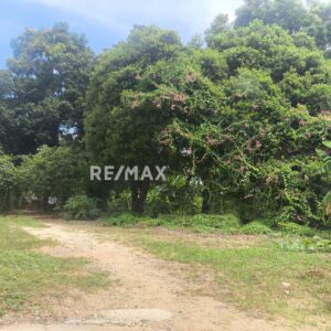 Terreno, En Venta, La Vega, Atamos Sur, Nueva Esparta, Isla de Margarita, 8358 mt2