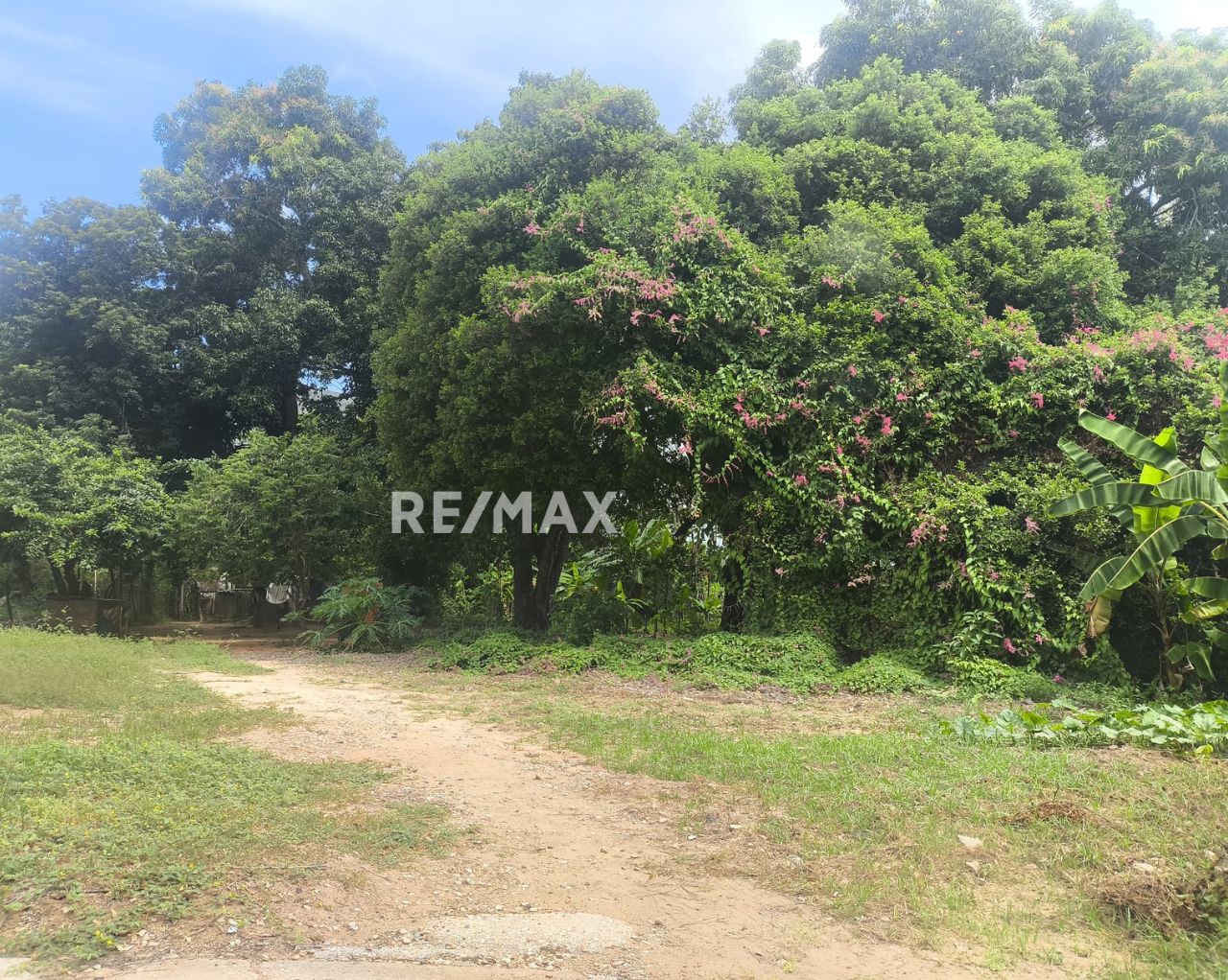 Terreno, En Venta, La Vega, Atamos Sur, Nueva Esparta, Isla de Margarita, 8358 mt2