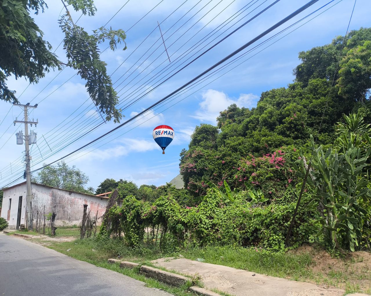 Terreno, En Venta, La Vega, Atamos Sur, Nueva Esparta, Isla de Margarita, 8358 mt2 - Imagen 2