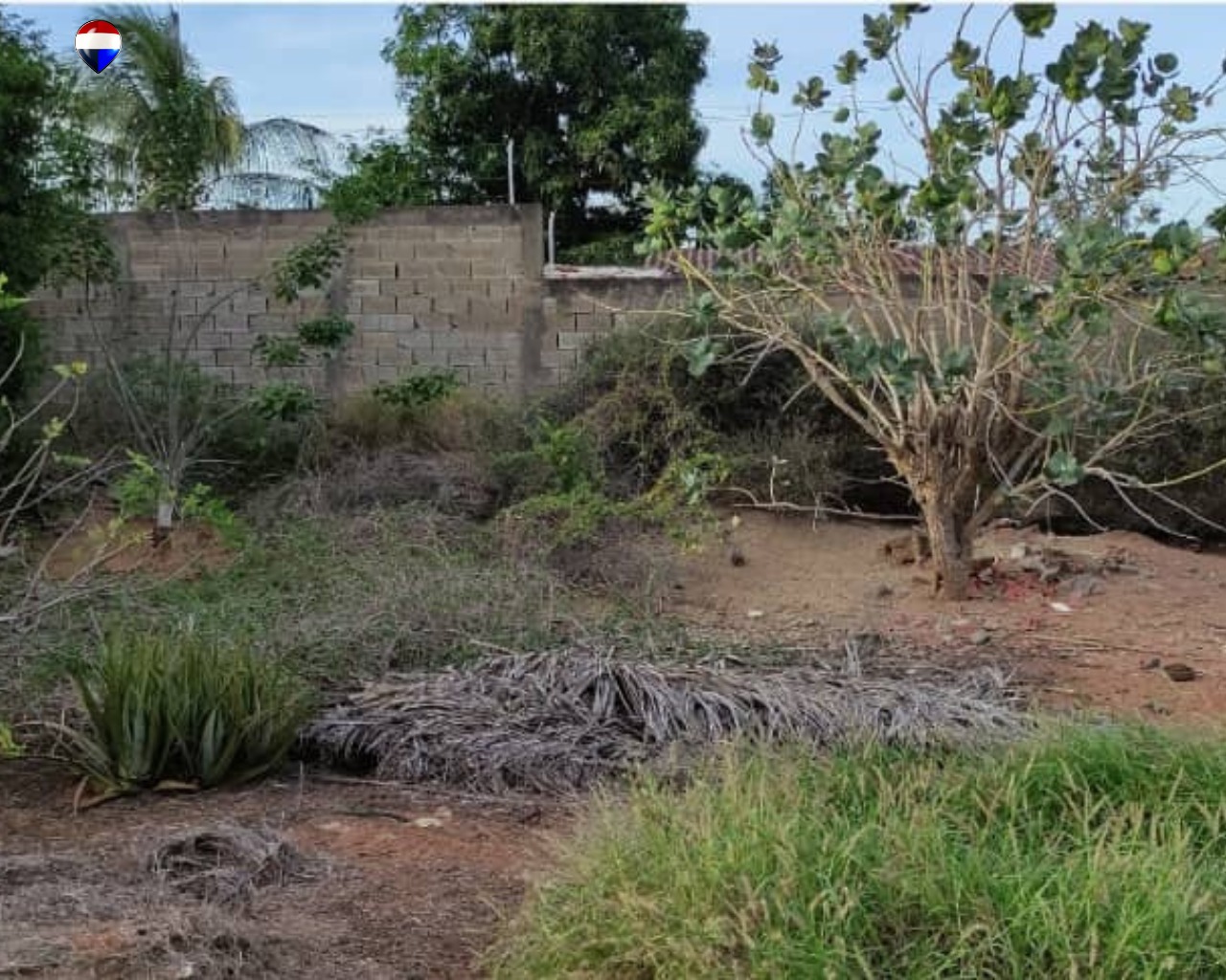 Terreno, En Venta, En La Mira, Nueva Esparta, Isla de Margarita, 1.128,15 m2 - Imagen 21