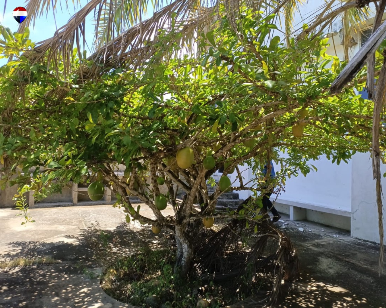 Terreno, En Venta, En La Mira, Nueva Esparta, Isla de Margarita, 1.128,15 m2 - Imagen 4