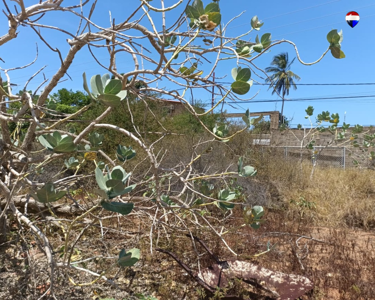 Terreno, En Venta, En La Mira, Nueva Esparta, Isla de Margarita, 1.128,15 m2 - Imagen 23