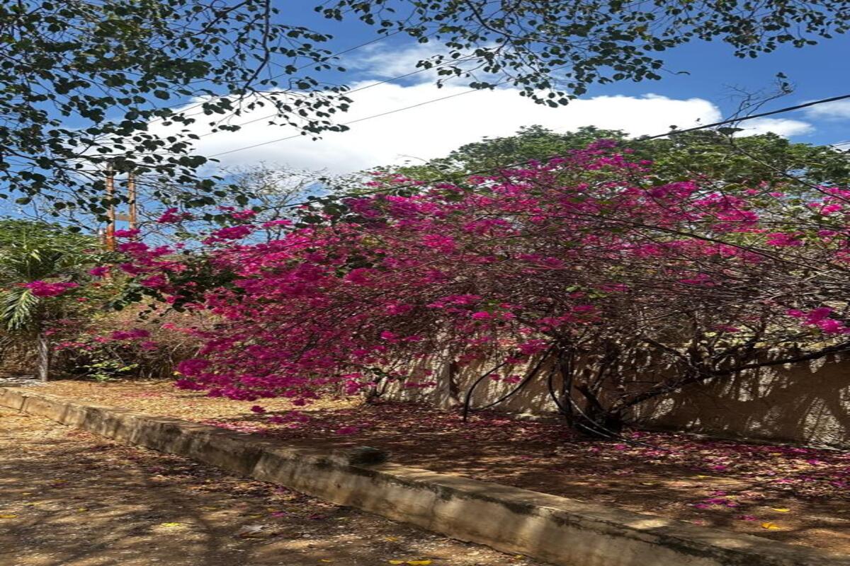 Townhouse Estilo Rural, En Venta, En Resd. Casas del Guayamuri, El Salado, Nueva Esparta, Isla de Margarita, 160 MT2, 3 Habitaciones y 3 Baños - Imagen 4