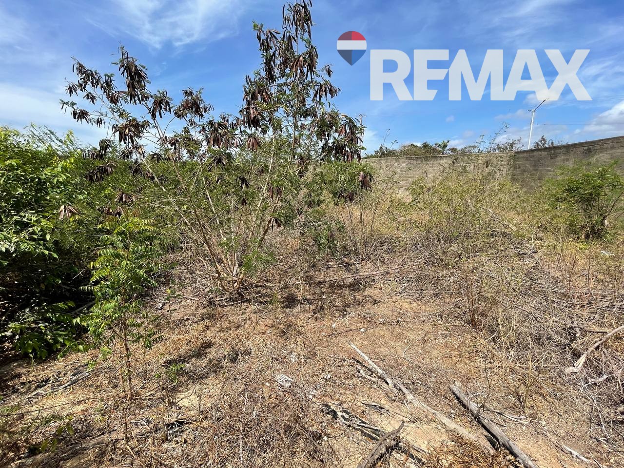Terreno, En Venta, En Calle Principal de San Lorenzo, Nueva Esparta, Isla de Margarita, 795 mt2 - Imagen 11