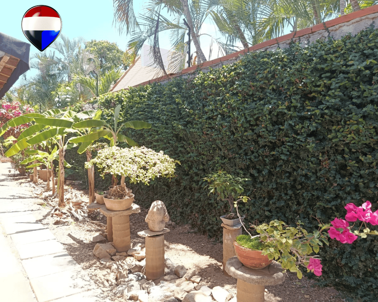 Casa, En Venta, En Calle El Dátil, Sector Chinguirito, En Guacuco, Nueva Esparta, Isla de Margarita, 594,02 Mt2, 2 Hab y 2 Baños - Imagen 4