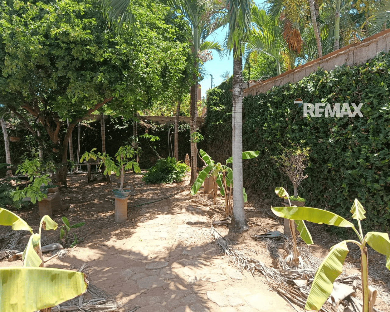 Casa, En Venta, En Calle El Dátil, Sector Chinguirito, En Guacuco, Nueva Esparta, Isla de Margarita, 594,02 Mt2, 2 Hab y 2 Baños - Imagen 6