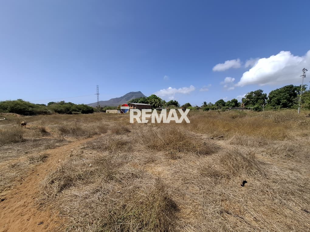 Terreno, En Venta, En El Tirano, Nueva Esparta, Isla de Margarita, 4.312,05 mt2 - Imagen 3