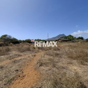 Terreno, En Venta, En El Tirano, Nueva Esparta, Isla de Margarita, 4.312,05 mt2