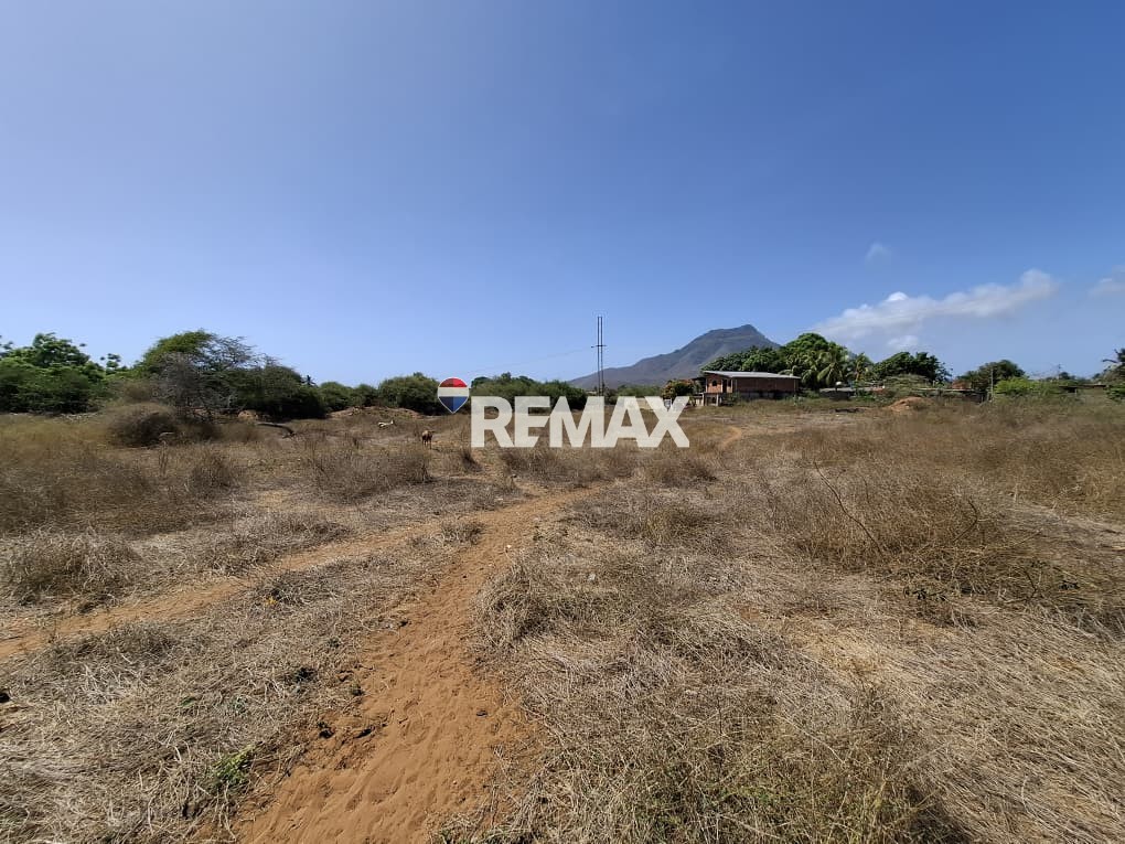 Terreno, En Venta, En El Tirano, Nueva Esparta, Isla de Margarita, 4.312,05 mt2