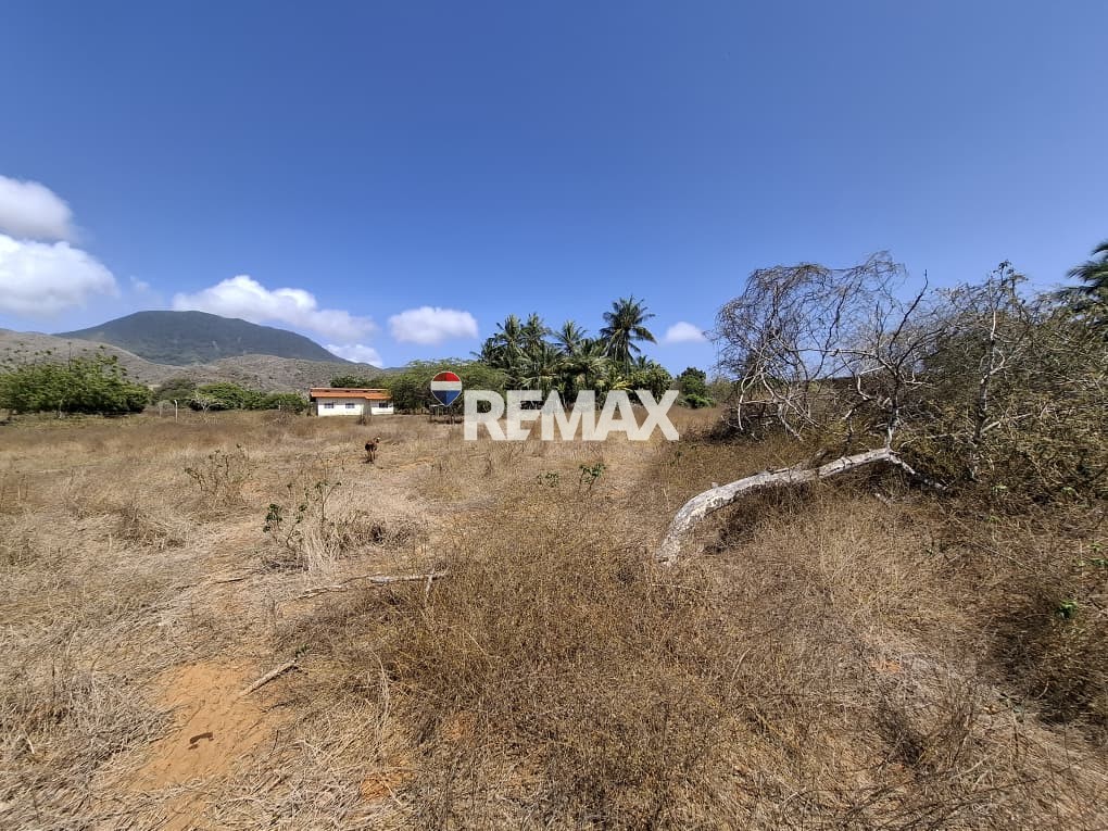 Terreno, En Venta, En El Tirano, Nueva Esparta, Isla de Margarita, 4.312,05 mt2 - Imagen 5