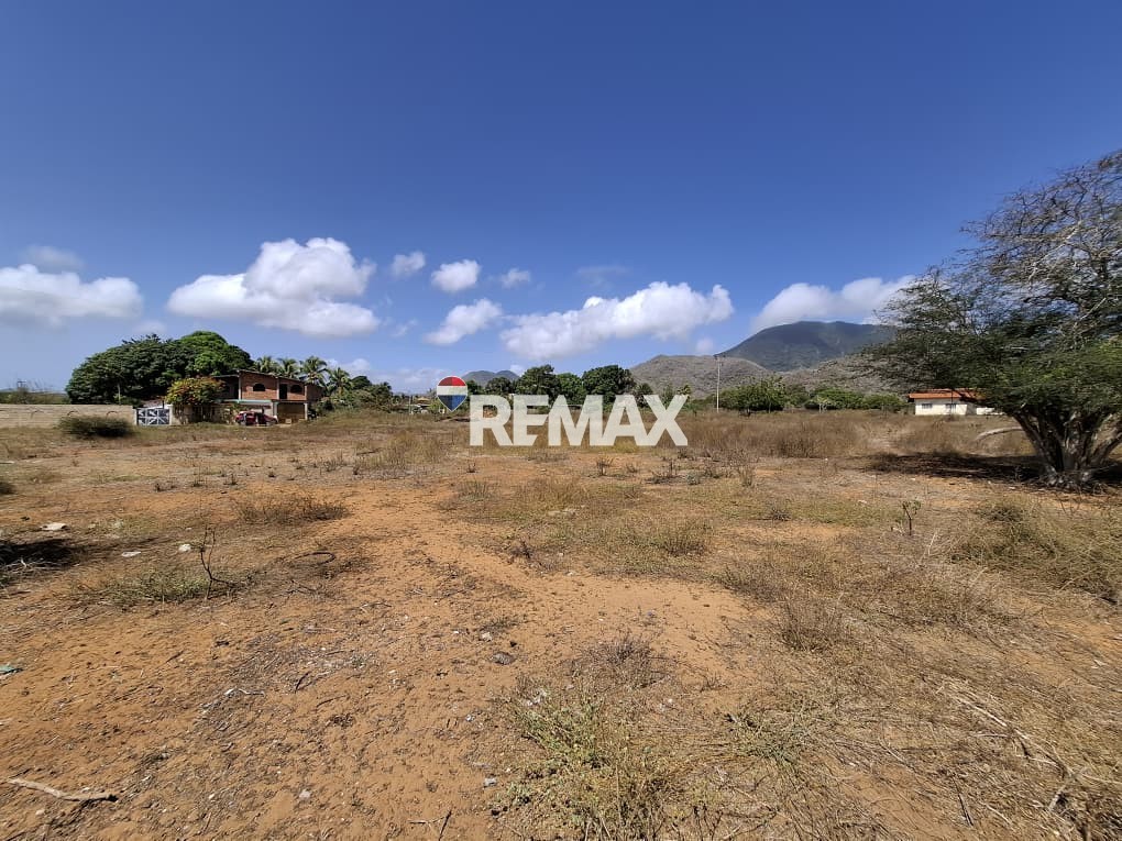 Terreno, En Venta, En El Tirano, Nueva Esparta, Isla de Margarita, 4.312,05 mt2 - Imagen 6