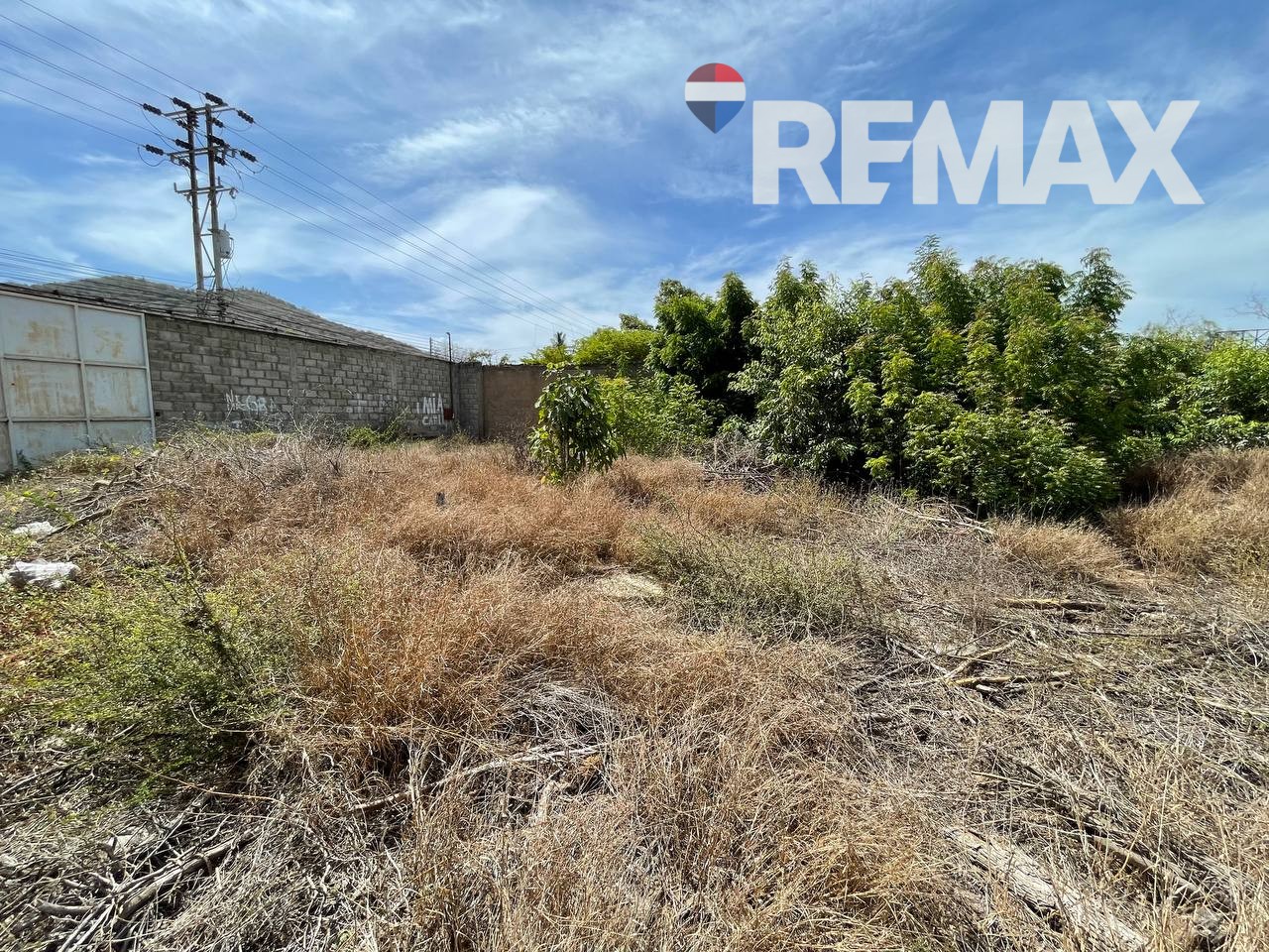 Terreno, En Venta, En Calle Principal de San Lorenzo, Nueva Esparta, Isla de Margarita, 795 mt2 - Imagen 6