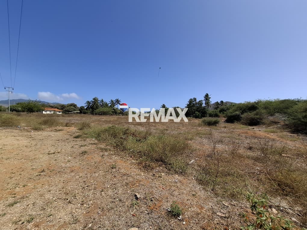 Terreno, En Venta, En El Tirano, Nueva Esparta, Isla de Margarita, 4.312,05 mt2 - Imagen 7