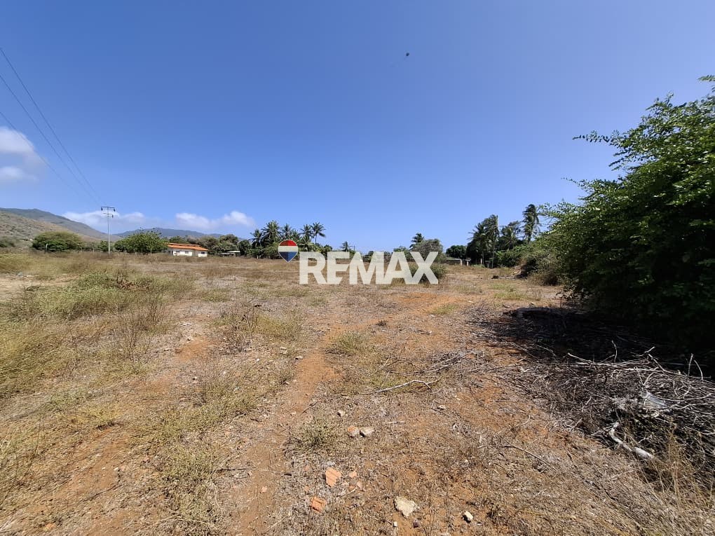 Terreno, En Venta, En El Tirano, Nueva Esparta, Isla de Margarita, 4.312,05 mt2 - Imagen 8
