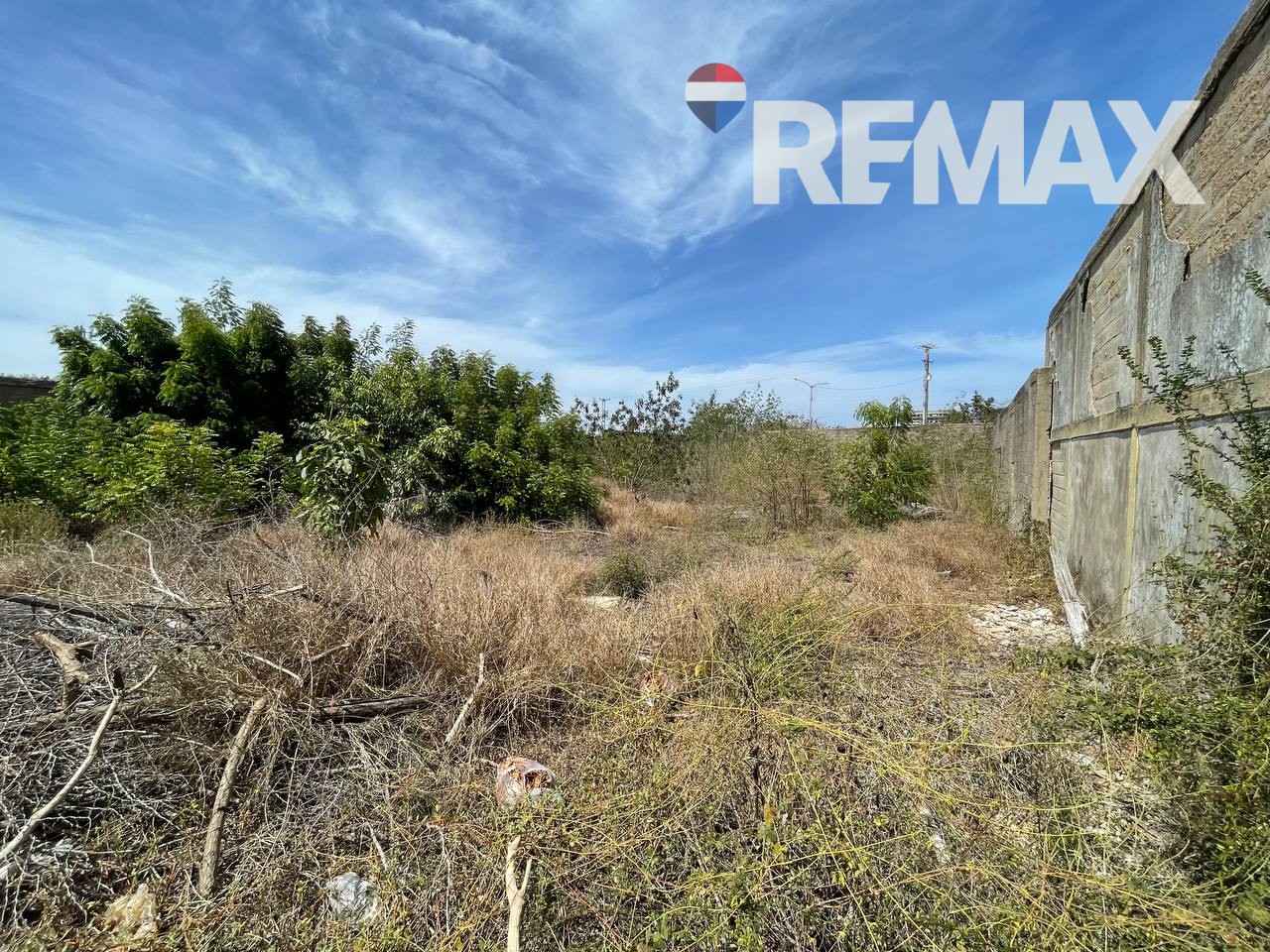 Terreno, En Venta, En Calle Principal de San Lorenzo, Nueva Esparta, Isla de Margarita, 795 mt2 - Imagen 8