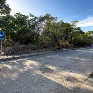 Terreno Con Potencial Para Casa En La Montaña, En La AV. Guayabal, La Asunción, Nueva Esparta, Isla de Margarita, 400,36 mt2