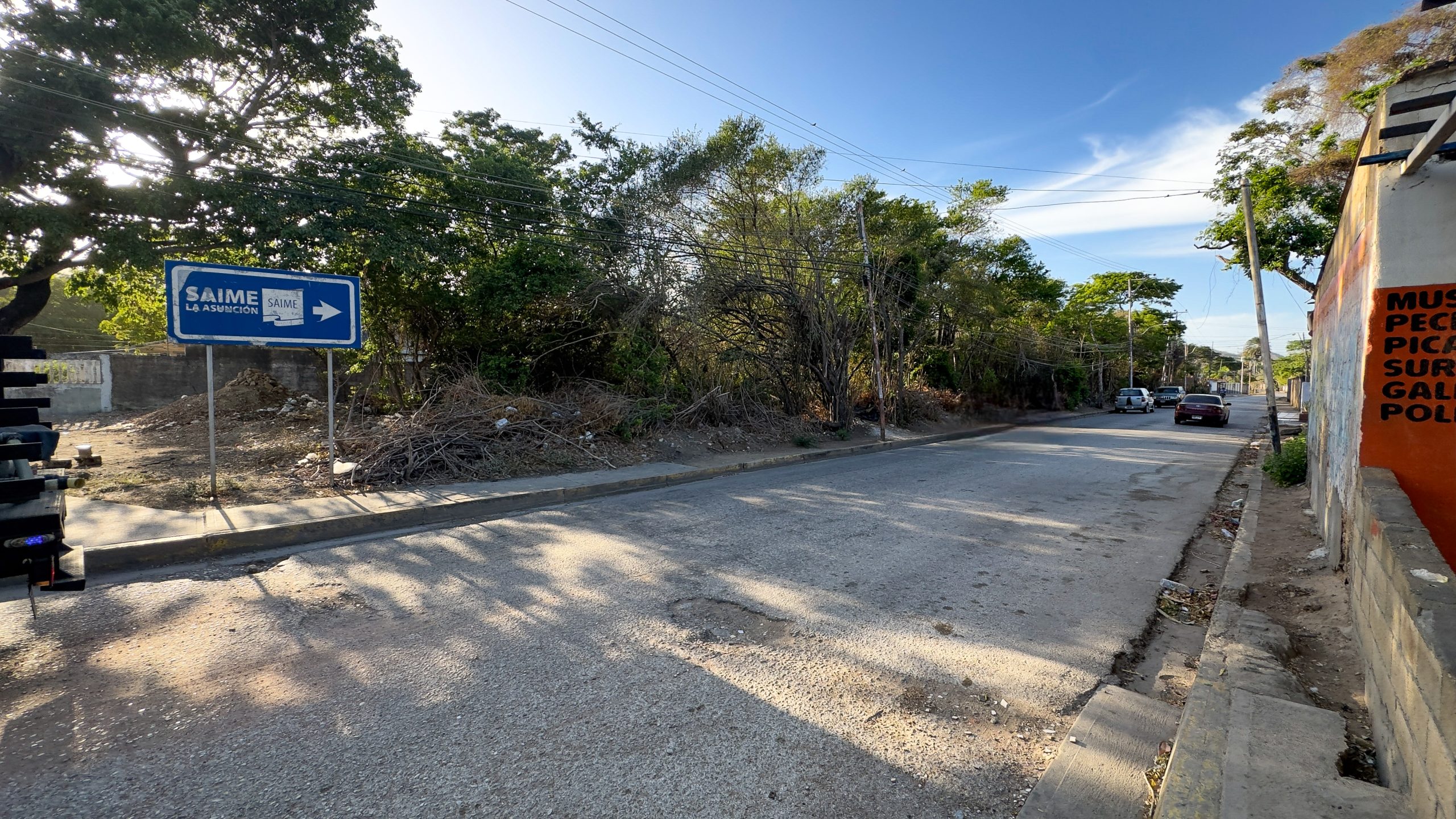 Terreno Con Potencial Para Casa En La Montaña, En La AV. Guayabal, La Asunción, Nueva Esparta, Isla de Margarita, 400,36 mt2