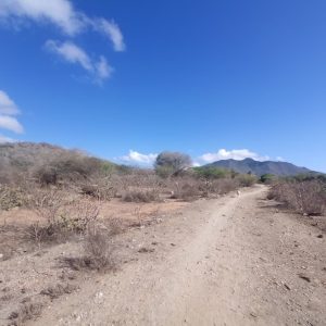 Terreno, En Venta, En Caserio Ruiz, Los Chacos, Nueva Esparta, Isla de Margarita, 6500,46 mt2