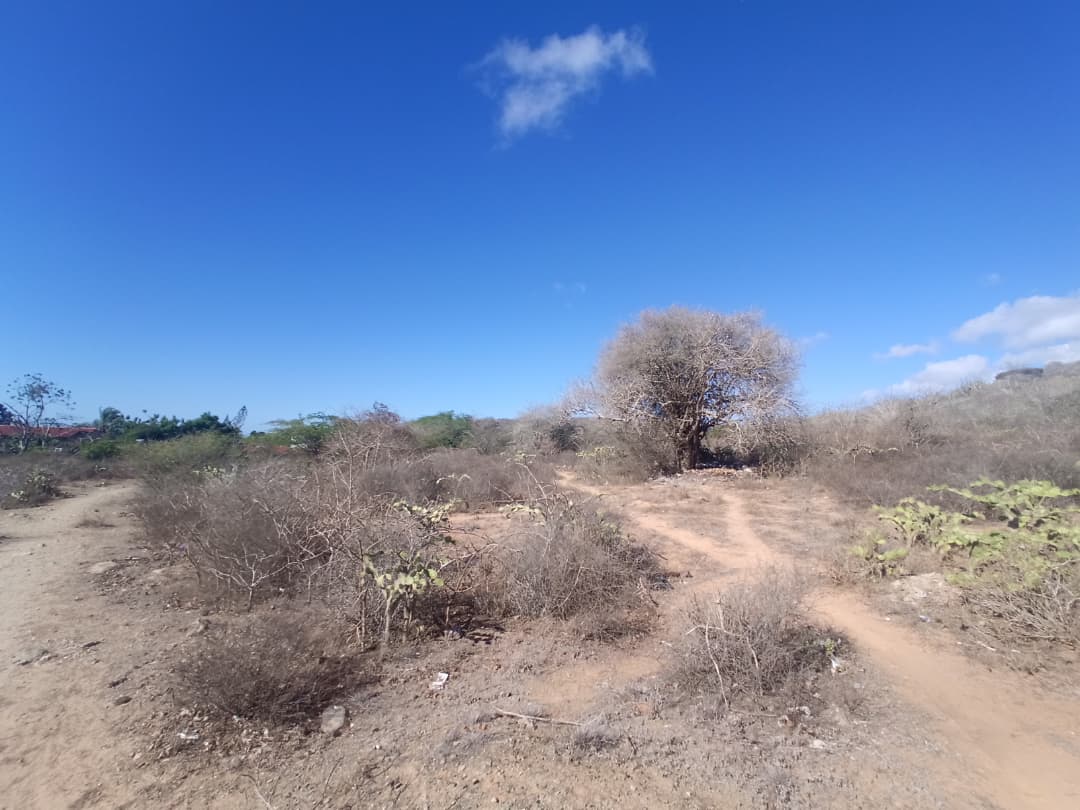 Terreno, En Venta, En Caserio Ruiz, Los Chacos, Nueva Esparta, Isla de Margarita, 6500,46 mt2 - Imagen 2