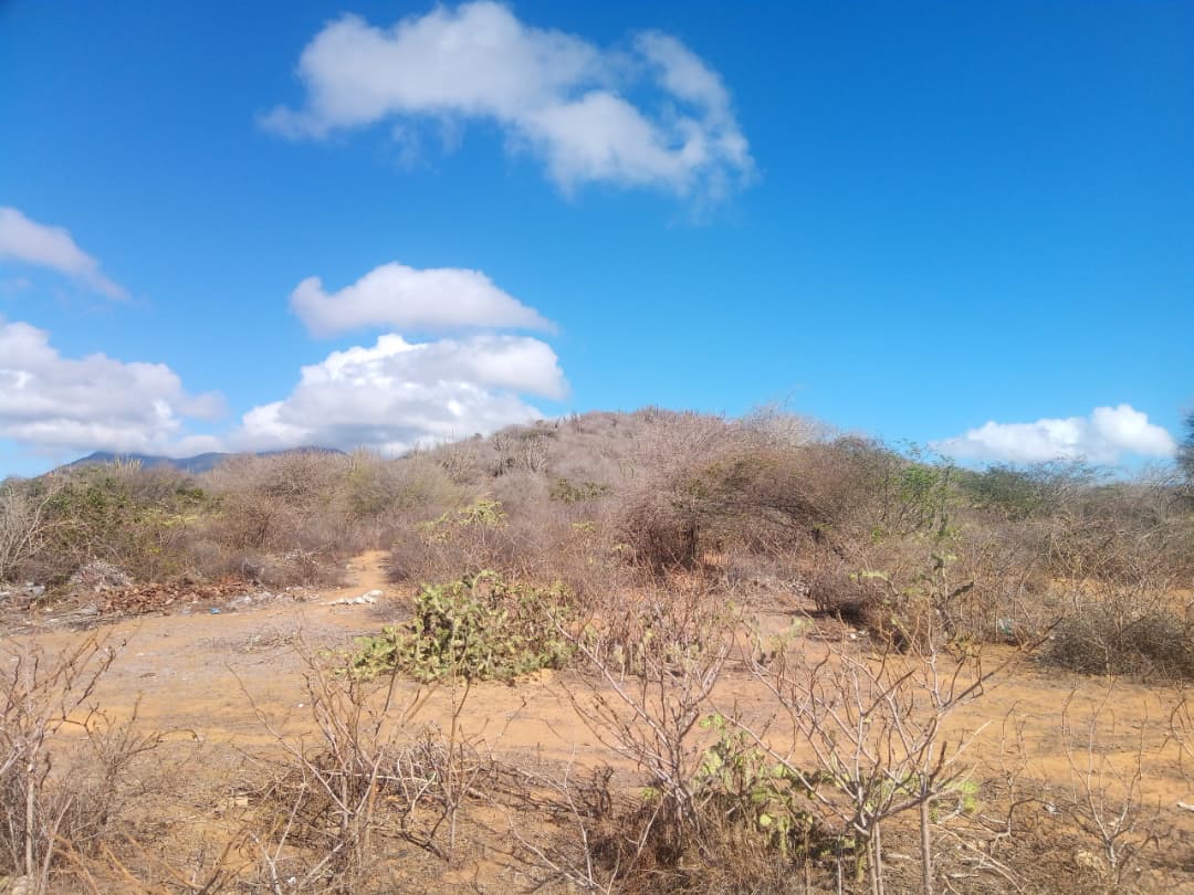 Terreno, En Venta, En Caserio Ruiz, Los Chacos, Nueva Esparta, Isla de Margarita, 6500,46 mt2 - Imagen 3