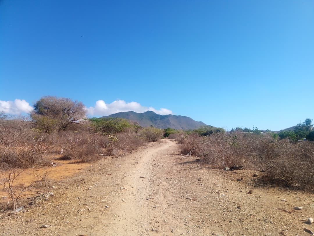 Terreno, En Venta, En Caserio Ruiz, Los Chacos, Nueva Esparta, Isla de Margarita, 6500,46 mt2 - Imagen 4