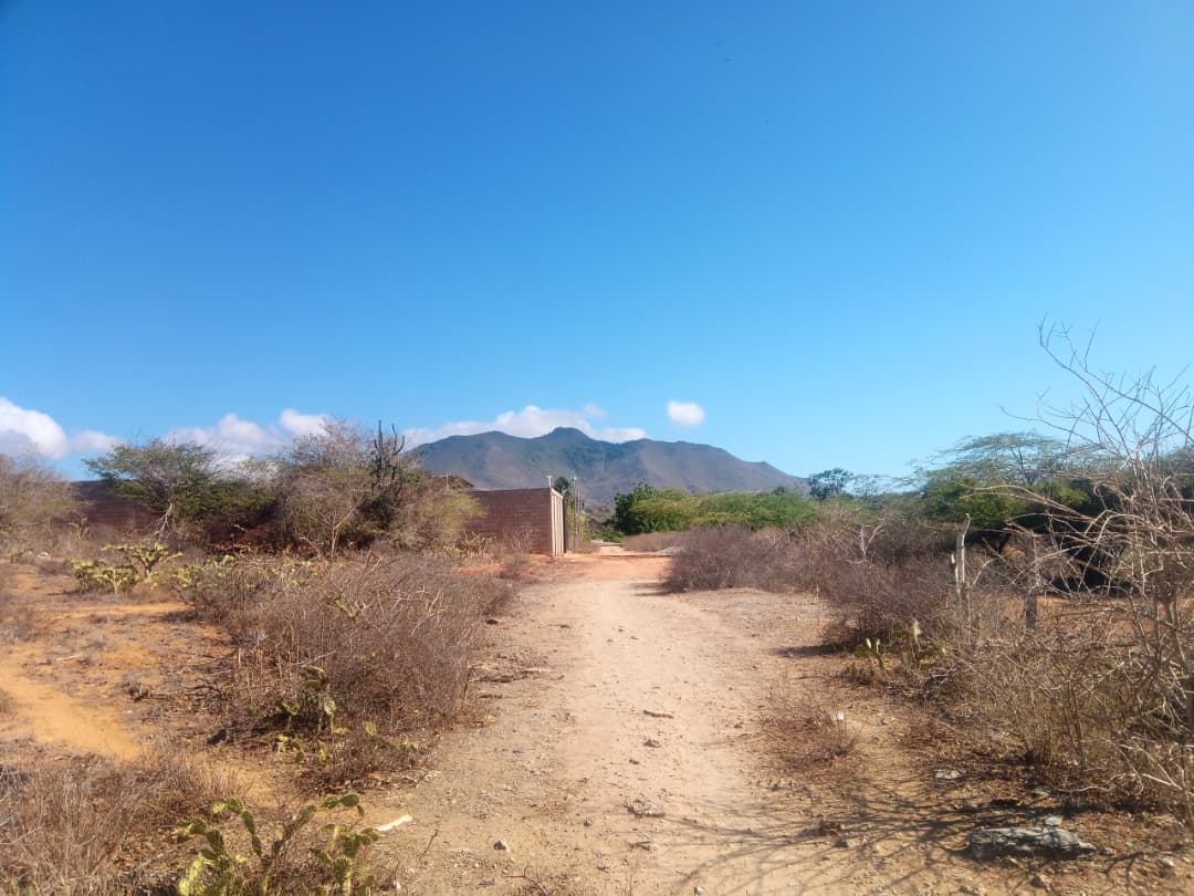 Terreno, En Venta, En Caserio Ruiz, Los Chacos, Nueva Esparta, Isla de Margarita, 6500,46 mt2 - Imagen 5