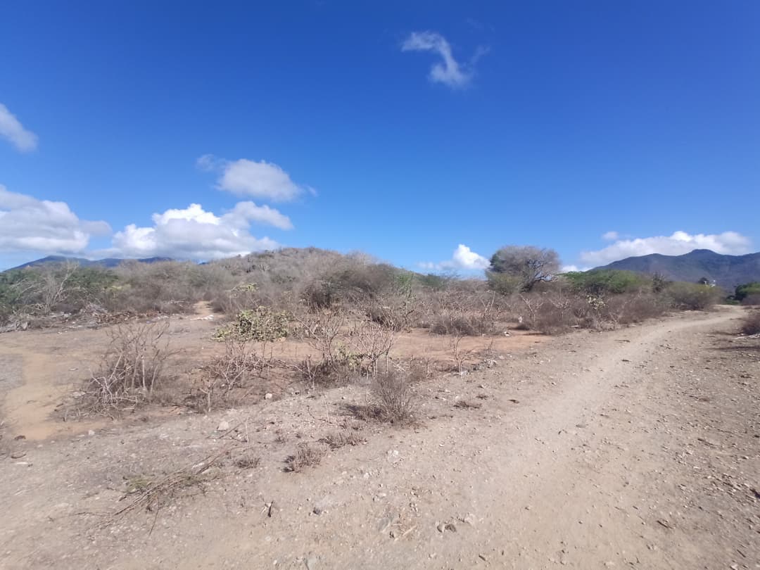 Terreno, En Venta, En Caserio Ruiz, Los Chacos, Nueva Esparta, Isla de Margarita, 6500,46 mt2 - Imagen 6