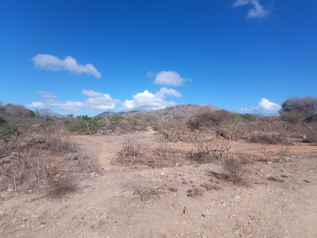 Terreno, En Venta, En Caserio Ruiz, Los Chacos, Nueva Esparta, Isla de Margarita, 6500,46 mt2 - Imagen 7