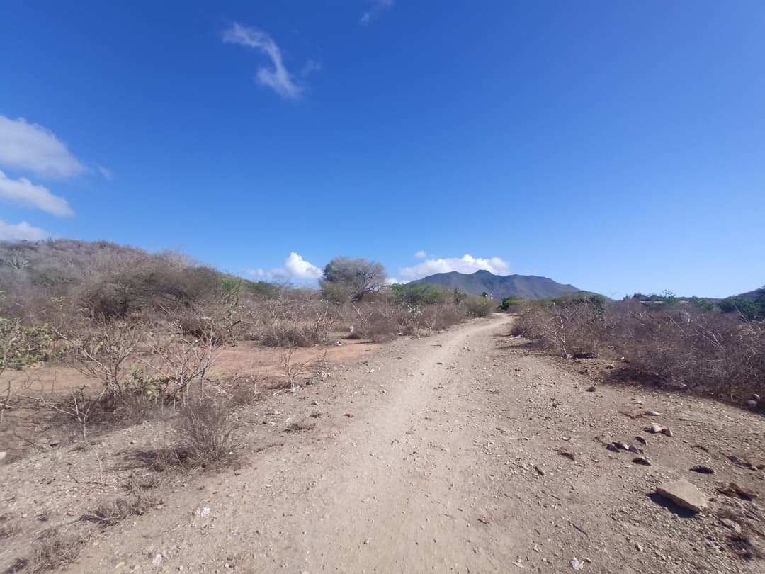 Terreno, En Venta, En Caserio Ruiz, Los Chacos, Nueva Esparta, Isla de Margarita, 6500,46 mt2 - Imagen 8