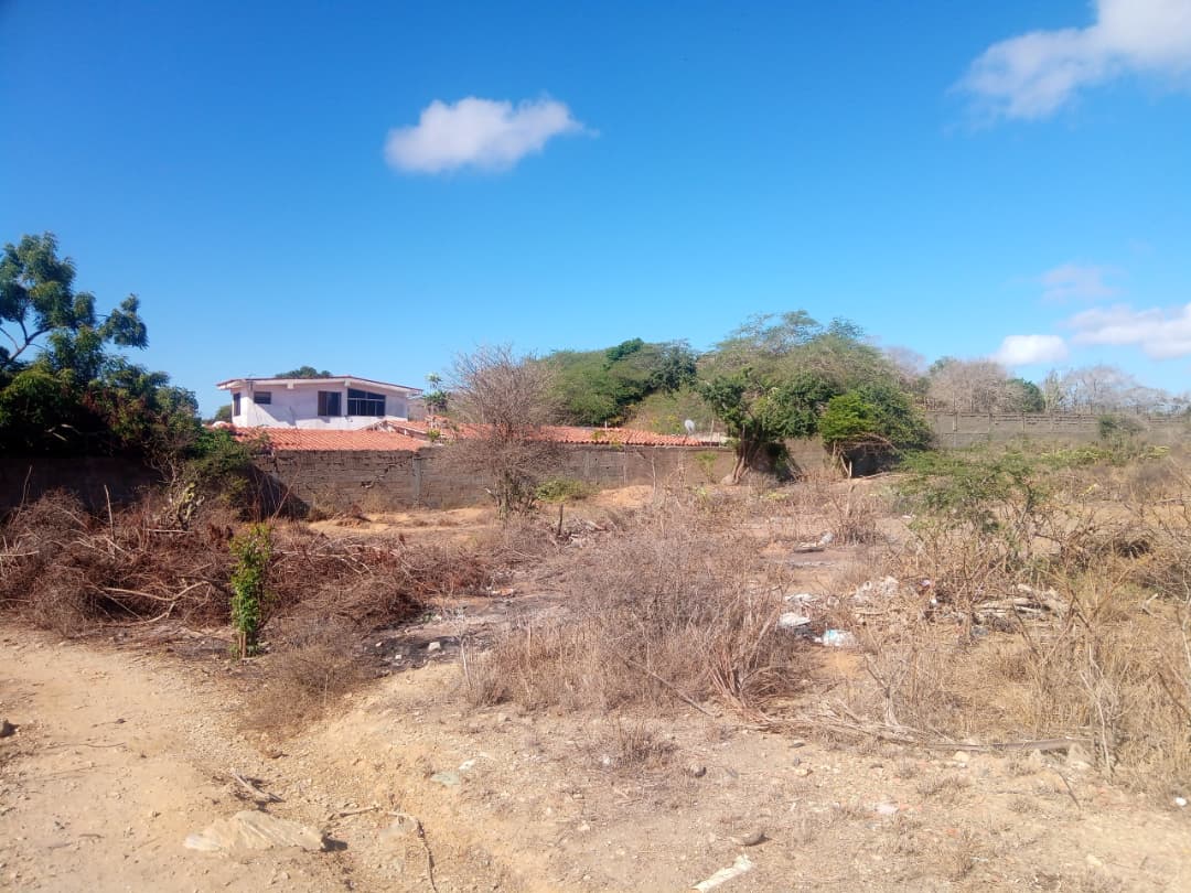 Terreno, En Venta, En Caserio Ruiz, Los Chacos, Nueva Esparta, Isla de Margarita, 6500,46 mt2 - Imagen 9