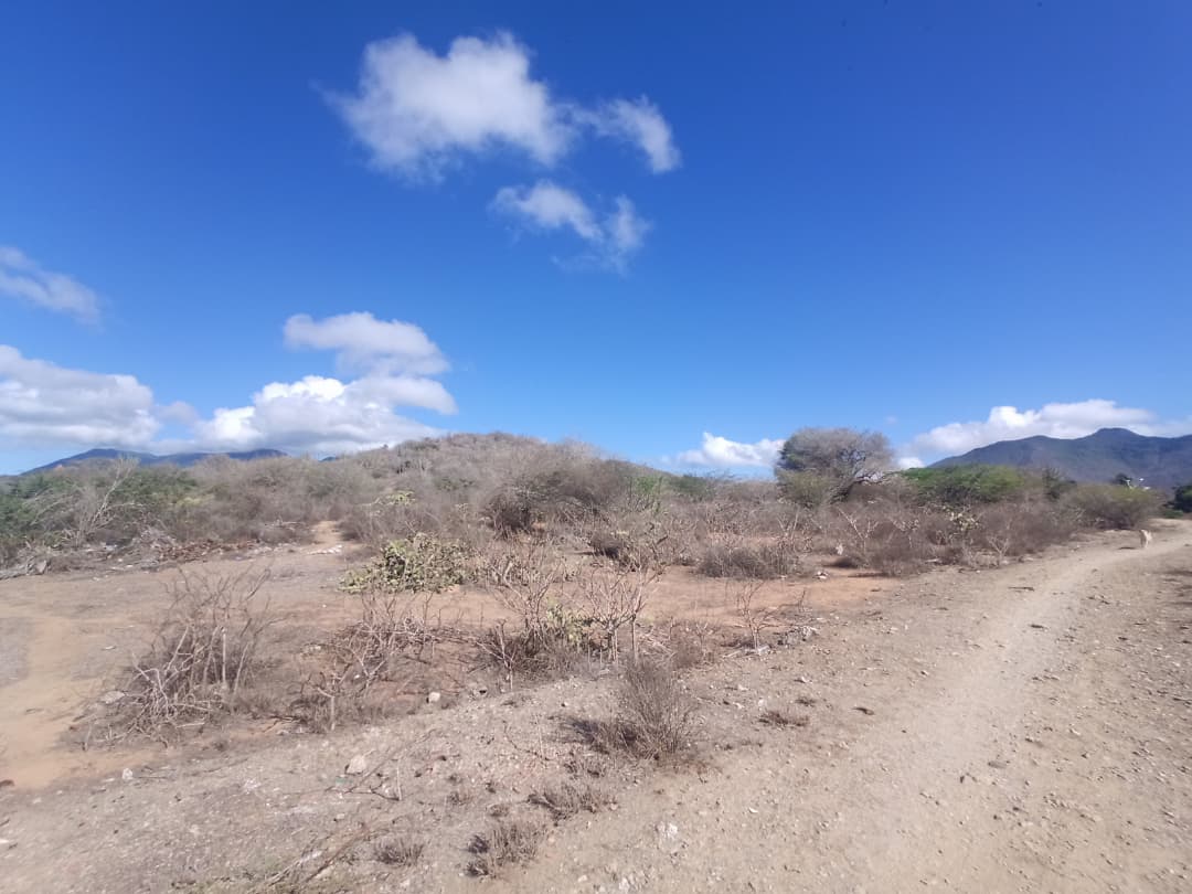 Terreno, En Venta, En Caserio Ruiz, Los Chacos, Nueva Esparta, Isla de Margarita, 6500,46 mt2 - Imagen 10
