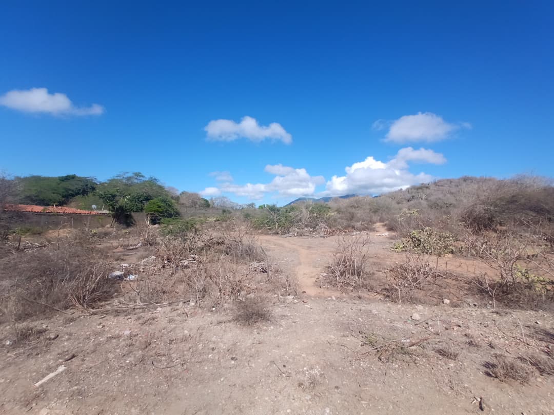 Terreno, En Venta, En Caserio Ruiz, Los Chacos, Nueva Esparta, Isla de Margarita, 6500,46 mt2 - Imagen 11