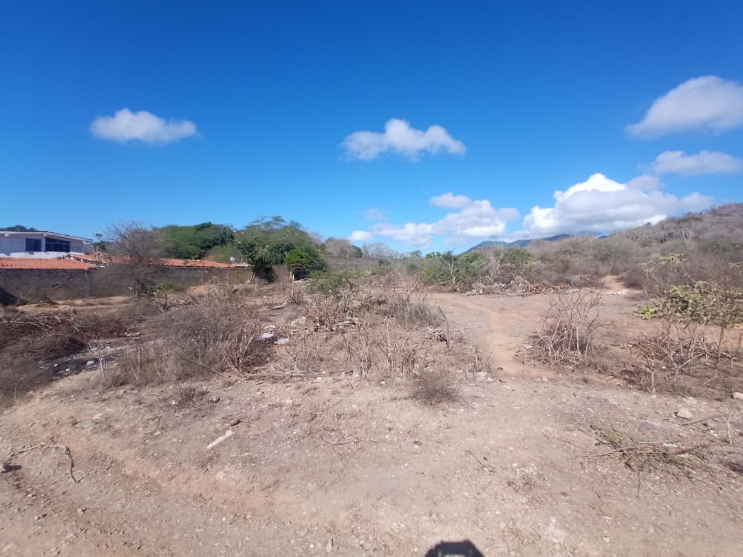 Terreno, En Venta, En Caserio Ruiz, Los Chacos, Nueva Esparta, Isla de Margarita, 6500,46 mt2 - Imagen 13