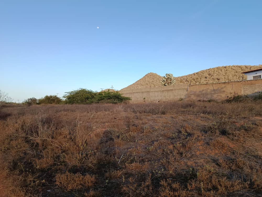 Terreno, En Venta, En El Boqueron, Campiare, Entrada de San Lorenzo, Nueva Esparta, Isla de Margarita, 464 mt2 - Imagen 4