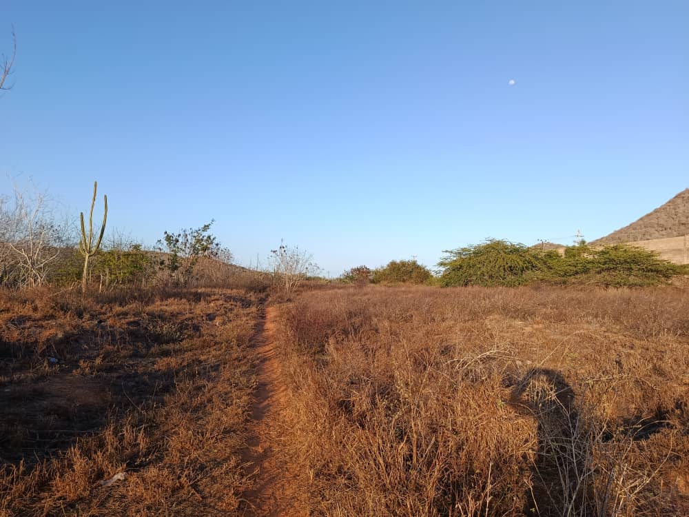 Terreno, En Venta, En El Boqueron, Campiare, Entrada de San Lorenzo, Nueva Esparta, Isla de Margarita, 464 mt2 - Imagen 5