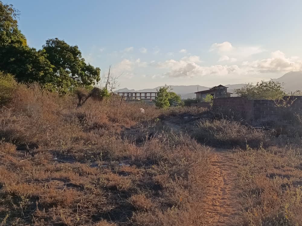 Terreno, En Venta, En El Boqueron, Campiare, Entrada de San Lorenzo, Nueva Esparta, Isla de Margarita, 464 mt2 - Imagen 6
