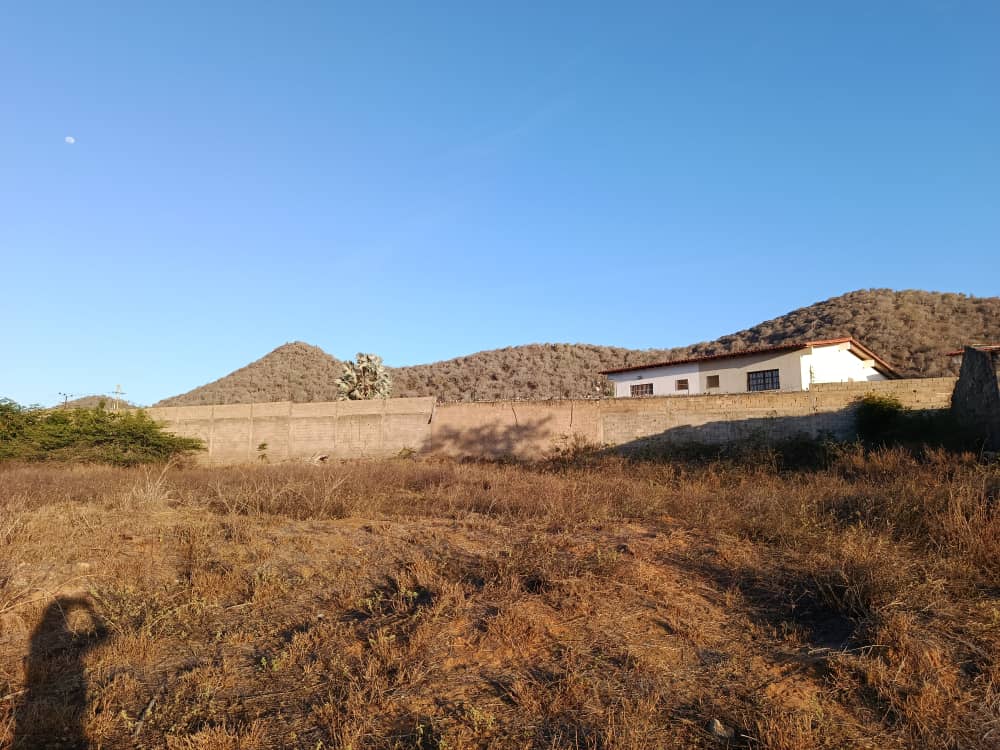 Terreno, En Venta, En El Boqueron, Campiare, Entrada de San Lorenzo, Nueva Esparta, Isla de Margarita, 464 mt2 - Imagen 7