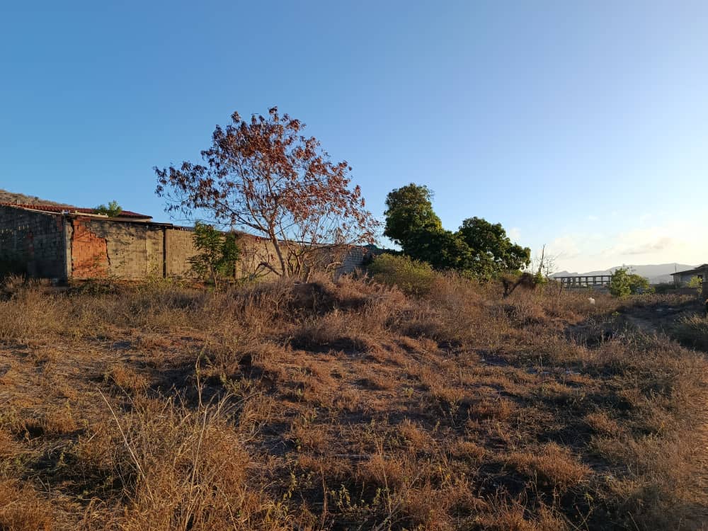 Terreno, En Venta, En El Boqueron, Campiare, Entrada de San Lorenzo, Nueva Esparta, Isla de Margarita, 464 mt2 - Imagen 8