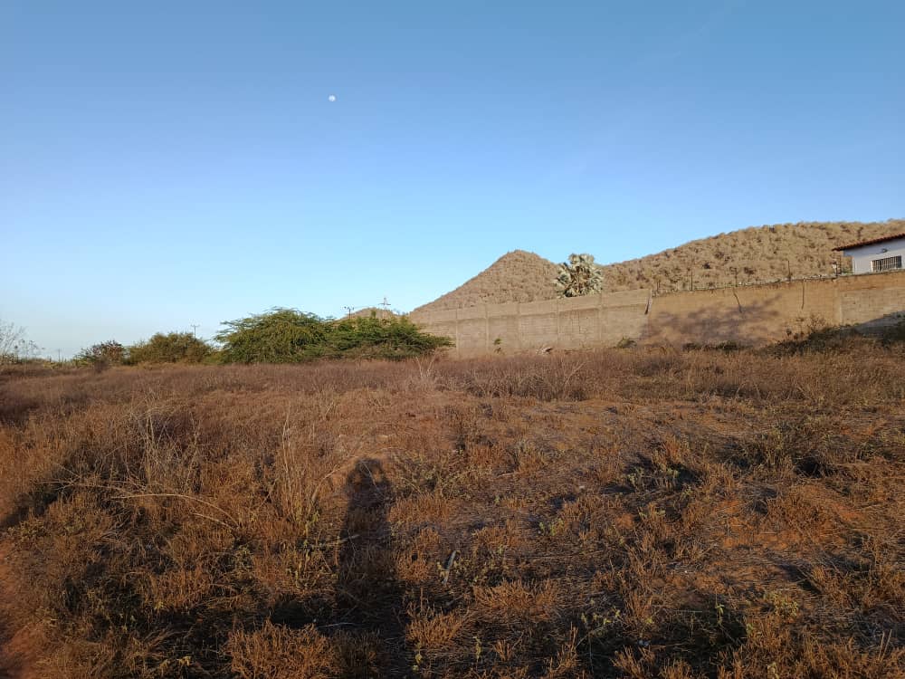 Terreno, En Venta, En El Boqueron, Campiare, Entrada de San Lorenzo, Nueva Esparta, Isla de Margarita, 464 mt2 - Imagen 9