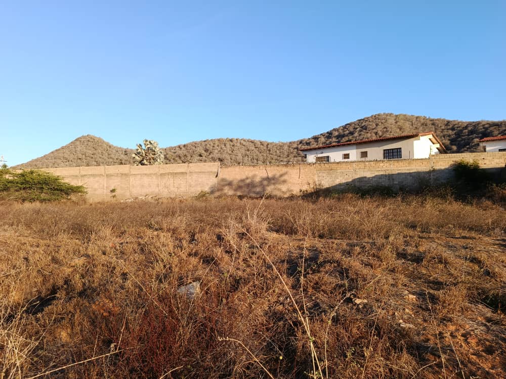 Terreno, En Venta, En El Boqueron, Campiare, Entrada de San Lorenzo, Nueva Esparta, Isla de Margarita, 464 mt2 - Imagen 10